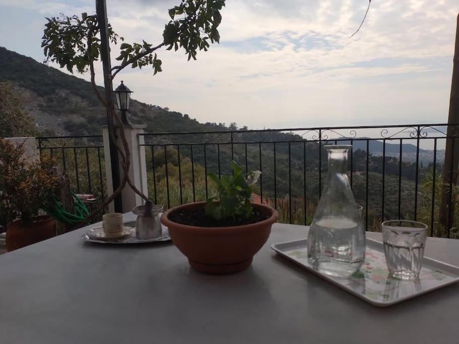 Athena'S Guest House Σταγιάτες Εξωτερικό φωτογραφία